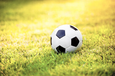 Soccer ball on a meadow - HAPF000569