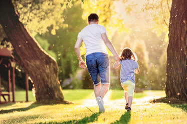 Back view of father and his little daughter running on a meadow in the park - HAPF000576