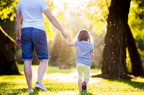 Rückenansicht eines Vaters und seiner kleinen Tochter, die auf einer Wiese im Park spazieren gehen, lizenzfreies Stockfoto