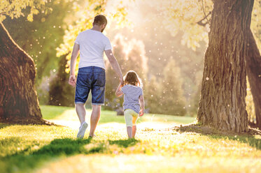 Rückenansicht eines Vaters und seiner kleinen Tochter, die Hand in Hand auf einer Wiese im Park spazieren gehen - HAPF000580