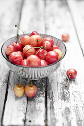 Bowl of organic cherries - CZF000259