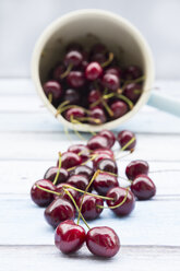 Cherries - LVF005057