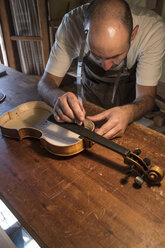 Luthier making measurements during the manufacture of a violin in his workshop - ABZF000775