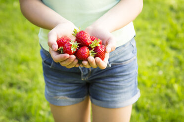 Hände eines Mädchens halten Erdbeeren - LVF005084