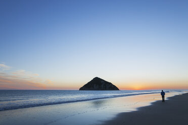 New Zealand, East Cape, Anaura Bay before sunrise, man watching the first sunlight - GWF004778