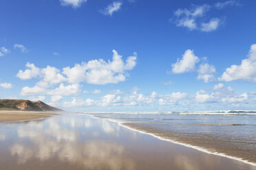 Neuseeland, Nordinsel, Northland, Ripiro Beach, Tasmanische See - GWF004783