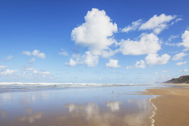 Neuseeland, Nordinsel, Northland, Ripiro Beach, Tasmanische See - GWF004784