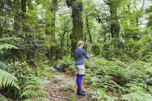 Neuseeland, Nordinsel, Te Urewera National Park, Frau, Wanderin auf Wanderweg, fotografiert mit Tablet - GWF004790