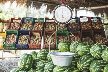 Stapel von Wassermelonen und Schuppen auf dem Markt - DEGF000889