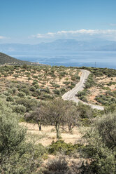 Greece, Panormos, road, olive plantations and the sea - DEGF000904