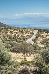 Griechenland, Panormos, Straße, Olivenplantagen und das Meer - DEGF000904