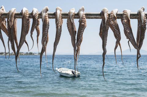 Griechenland, Agria, Tintenfisch zum Trocknen auf einer Stange am Meer aufgehängt, lizenzfreies Stockfoto