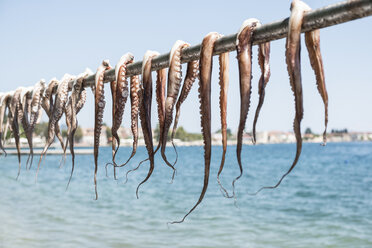 Griechenland, Agria, Tintenfisch zum Trocknen auf einer Stange am Meer aufgehängt - DEGF000911