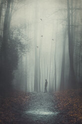 Silhouette of a man on wet forest path, digitally manipulated - DWIF000750