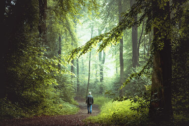 Mann geht auf Waldweg im Morgenlicht - DWIF000754