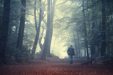 Man walking on forest track in morning light - DWIF000756