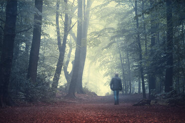 Mann geht auf Waldweg im Morgenlicht - DWIF000756