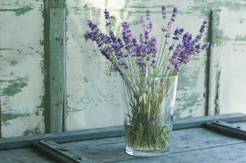 Lavendelsträußchen in einer Blumenvase - ASF005929