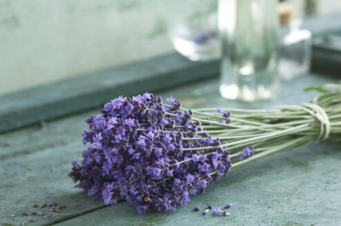 Strauß Lavendel - ASF005930