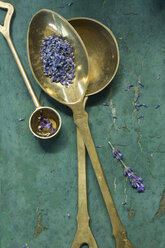 Messinglöffel mit getrockneten Lavendelblüten und Lavendelöl - ASF005934