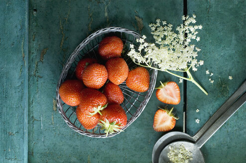 Drahtkorb mit Erdbeeren und Holunderblüten - ASF005937