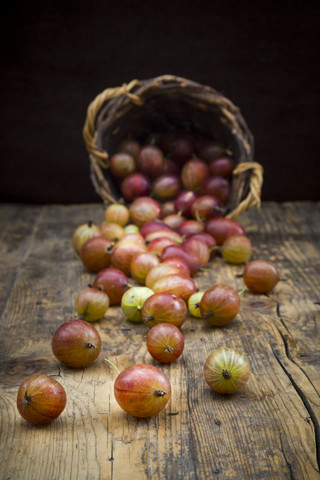 Wickerbasket and red gooseberries on wood stock photo