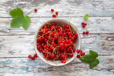 Bowl of red currants - SARF002805