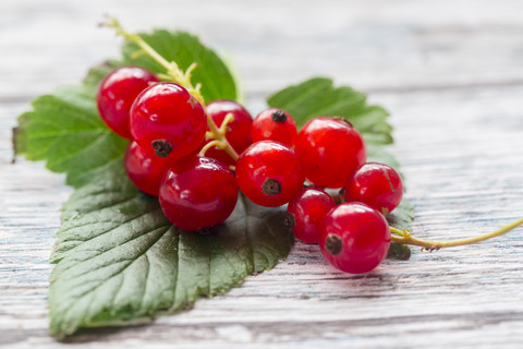 Rote Johannisbeeren auf einem Blatt, Nahaufnahme, lizenzfreies Stockfoto