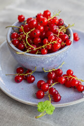 Bowl of red currants - SARF002807