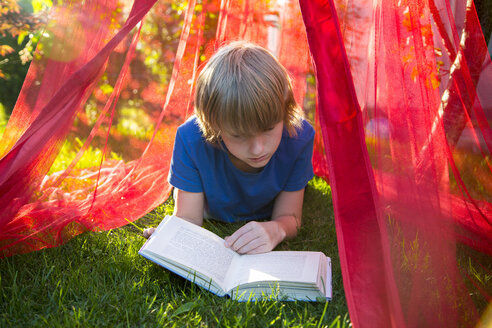 Junge liegt auf einer Wiese unter einem Moskitonetz und liest ein Buch - SARF002814