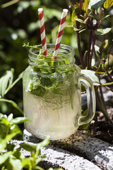 Homemade lemonade with a variety of herbs - SBDF003001