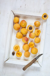 Wooden tray with apricots - SBDF003007