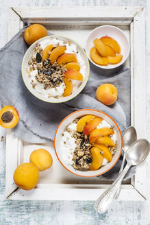 Yogurt with crunchy muesli and fresh apricot - SBDF003012
