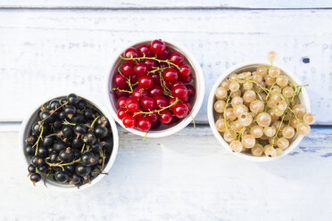 Three bowls of black, red and white currants - LVF005099