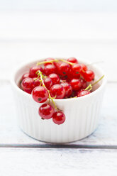 Small bowl of red currants - LVF005103