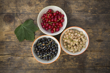 Three bowls of red, white and black currants and a leaf on dark wood - LVF005105