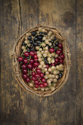 Wickerbasket with mix of black, red and white currants - LVF005107