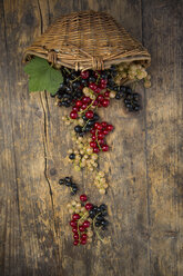 Weidenkorb und schwarze, rote und weiße Johannisbeeren auf dunklem Holz - LVF005108