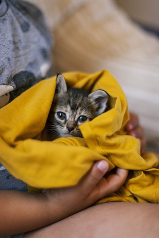 Kleiner Junge hält ein getigertes Kätzchen mit gelber Decke in den Händen, lizenzfreies Stockfoto