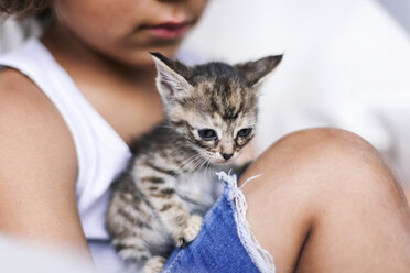 Porträt eines getigerten Kätzchens, das auf dem Bein eines kleinen Jungen sitzt - VABF000664