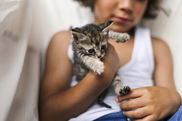 Hände eines kleinen Jungen, der ein getigertes Kätzchen hält - VABF000665
