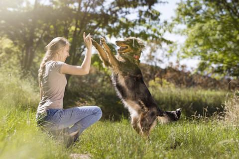 Junge Frau zähmt ihren Mischling auf einer Wiese, lizenzfreies Stockfoto