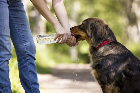 Woman giving her dog water to drink - MIDF000750