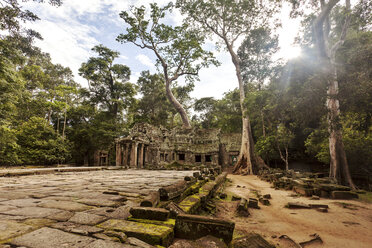 Cambodia, Siem Reap, Angkor, Ta Prohm Temple - FPF000099