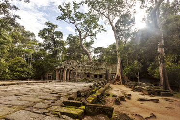 Kambodscha, Siem Reap, Angkor, Ta Prohm-Tempel - FPF000099