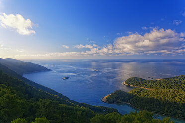 Kroatien, Dalmatien, Dubrovnik-Neretva, Insel Mljet, Mljet-Nationalpark - GFF000632