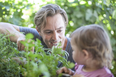 Vater und Tochter betrachten einen Kräutergarten - ZEF009000