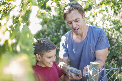 Father and son building up a fence together - ZEF009032