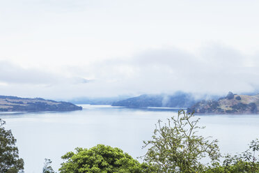 Neuseeland, Nordinsel, Northland, Hokianga Harbour, neblig - GWF004814