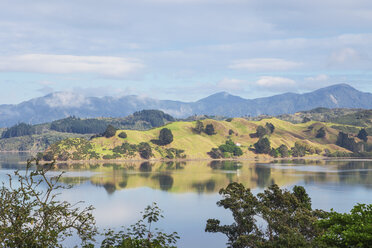 Neuseeland, Nordinsel, Northland, Hokianga Harbour - GWF004815